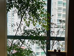 -四方茶集·茶馆(南山科技园店)