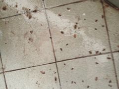 -港龙棋牌桌球城(上沙店)