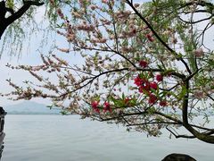 -柳莺湖上·湖景餐厅·江南菜(西湖店)