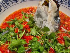 -湘潭九龙鱼头店(城南西路店)