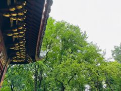 -汇龙潭