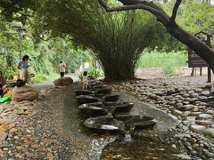 -成都市活水公园