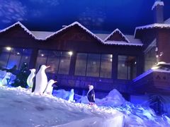 -世界之窗阿尔卑斯冰雪世界
