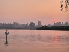 -天鹅湖体育公园