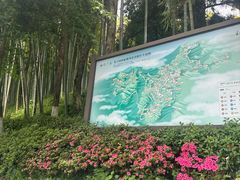 -莫干山风景区