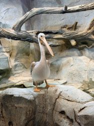 -Zoolung Zoolung动物主题公园(海信广场店)