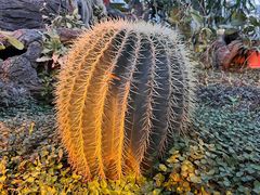 -国家植物园南园