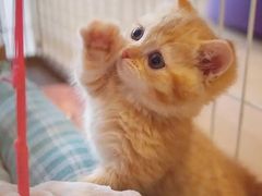 -天宁凯利时尚餐厅