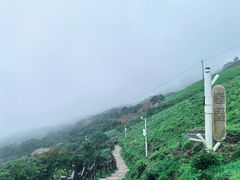 -大姆山草场