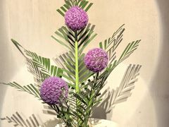 -穹六人间 people 6(岳阳路店)