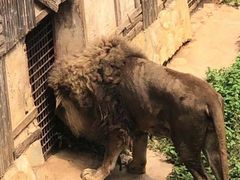 -昆明动物园
