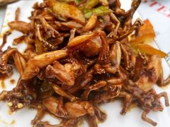 辣炒田鸡-满堂春特色餐馆