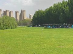 -长白岛森林公园