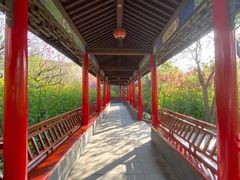 -南汇桃花村