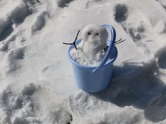 -叠溪松坪沟景区