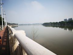 -小洲村