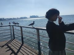 -滇池海埂公园