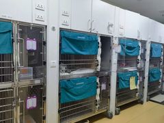 -美联众合动物医院·24h转诊中心