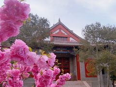 -中央民族大学