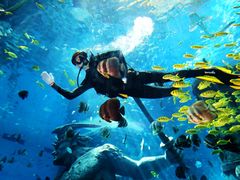 -波塞冬旅游度假区