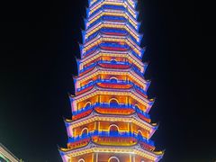 -丁莲芳(红旗路店)