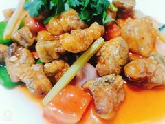 -张家卫·阳江菜·小海鲜(肥婆湾桥店)
