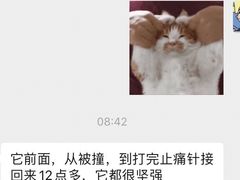 -致善宠物医院(体育路店)