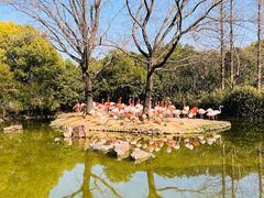 -上海野生动物园