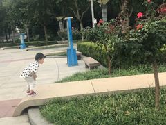-裕华世纪公园