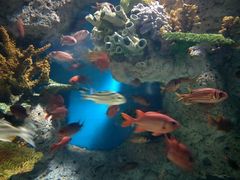 -福州罗源湾海洋世界旅游区