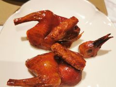 脆皮妙龄鸽-新荣记(新源南路店)