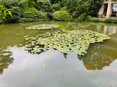-中国茶叶博物馆(双峰馆区)