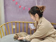 -藏猫猫咖啡主题馆(中央大道店)