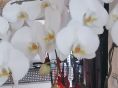 -翡翠鸟精品泰国菜(北辰财富中心店)