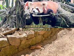 -杭州少年儿童公园