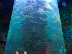 -青岛嘉年华主题乐园