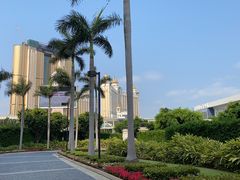 -澳门长洲糯米糍(柯打苏沙街店)