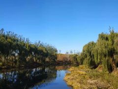 -东郊湿地公园