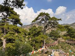 -五当召景区