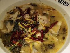 老坛酸菜鱼-乾园(天河城店)