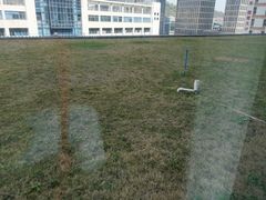 -广州天河希尔顿酒店