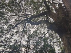 -安溪清水岩