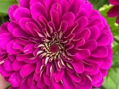 -长春公园(普阳街道)