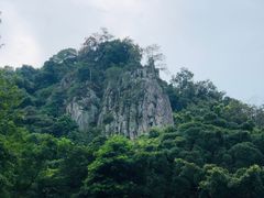 -广州市石门国家森林公园