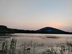 -长广溪湿地公园