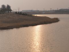 -卤阳湖国家湿地公园