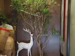 -江南足纪·影院足道·轻奢SPA(红山6979店)