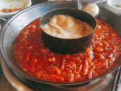 -巴蜀大将火锅(春熙店)