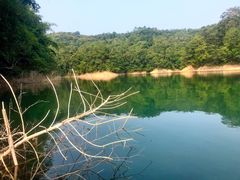 -广州市流溪河国家森林公园