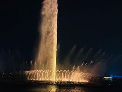 -九龙湖公园